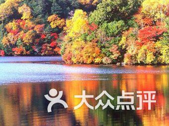 火柴人VS贱鬼脸