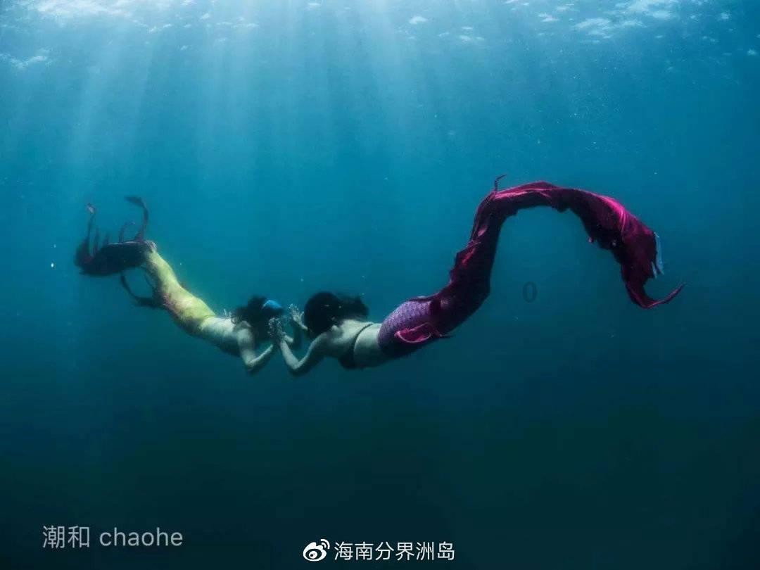 孕妇可以吃蟹吗游戏画面