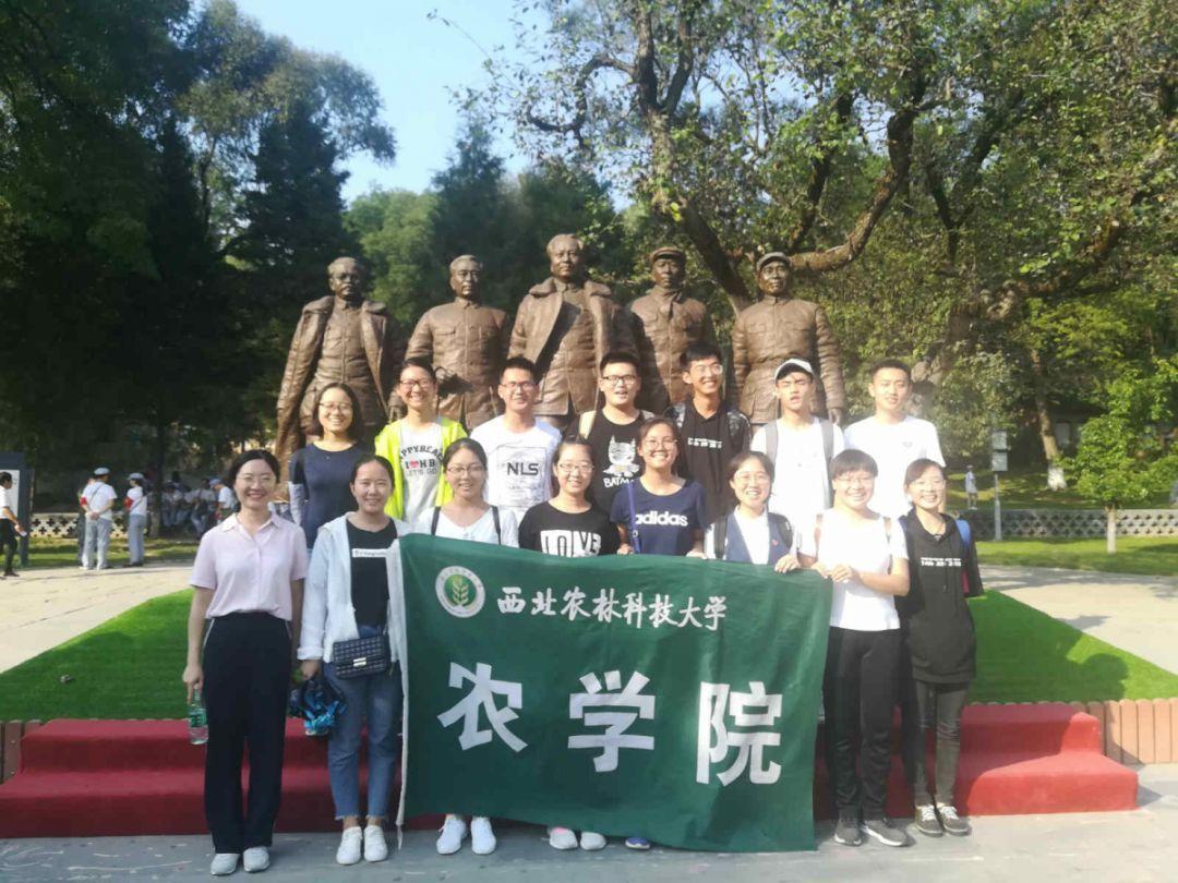 妙鸭相机app下载官网